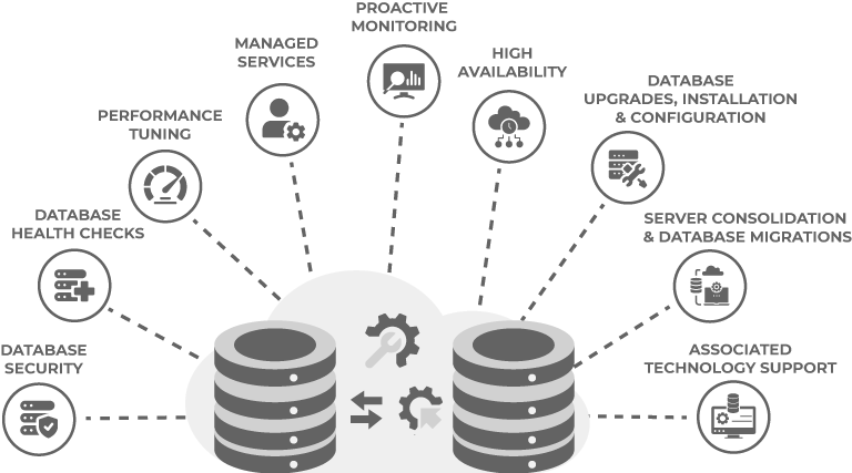 Database Transformation, Modernization and Maintenance